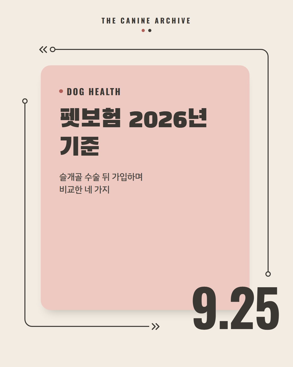 펫보험 2026년 기준, 슬개골 수술 뒤 가입하며 비교한 네 가지